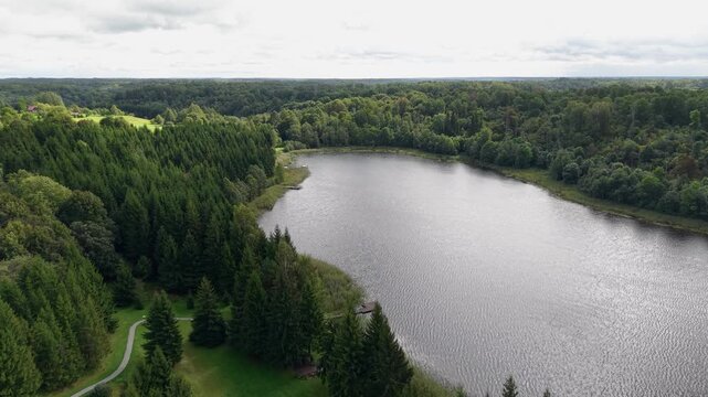 Aerial footage captures a tranquil forest lake bordered by dense pine trees and rolling green land on a cloudy day, showcasing peaceful natural beauty and gentle motion over water.