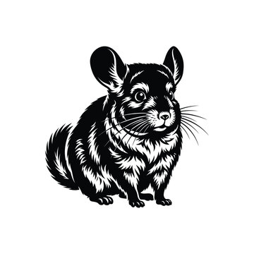 Black and white chinchilla illustration showing a cute fluffy rodent with big ears and whiskers
