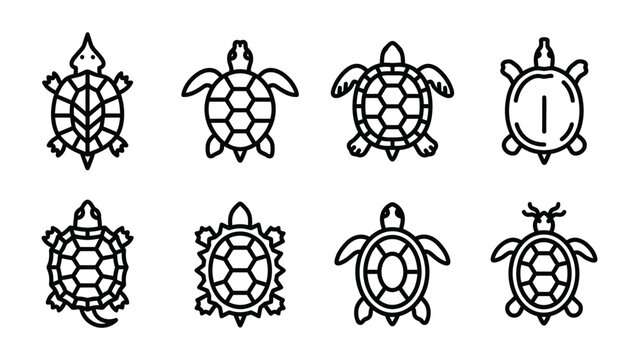 Set of Turtle Icons: A collection of eight unique, stylized turtle icons presented in a clean, black and white line art format, showcasing different shell patterns and designs.