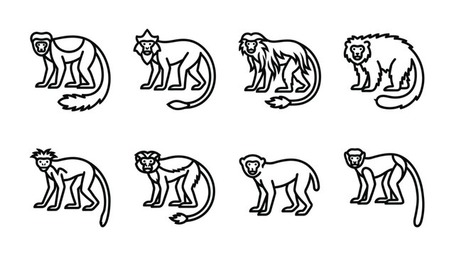 Set of Monkey Icons: A collection of eight minimalist line art icons representing various monkey species, showcasing different body types and features.
