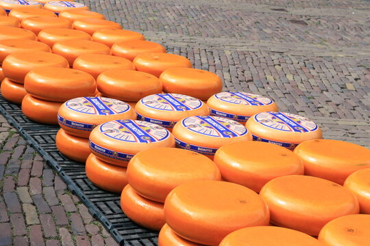 Quesos holandeses en el mercado de Alkmaar, Pa&iacute;ses Bajos