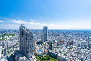 Fototapeta premium 高層ビル群を望む東京・新宿副都心の都市風景 