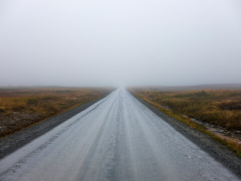 Road through misty countryside fields