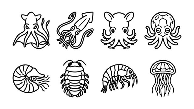 Marine Life Icons: A collection of cute, hand-drawn line art icons representing various sea creatures, including octopus, squid, nautilus, amphipod, and jellyfish, presented in a simple, clean style.