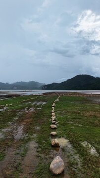 Vertical Video: Row of stones forming a path across a grassy riverbank towards the water