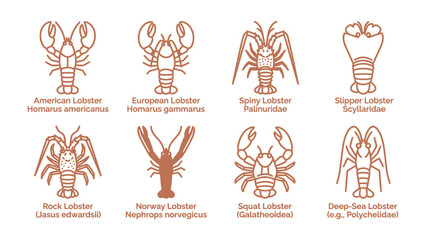 Obraz premium Lobster Species Collection: An informative collection displaying various species of lobsters with their common and scientific names, presented in a clean graphic format.