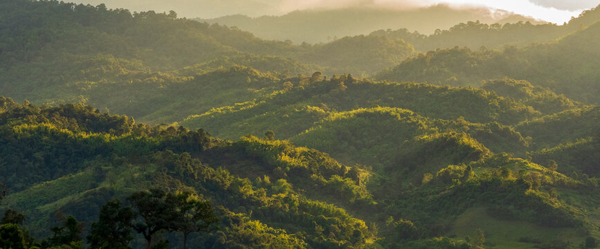 Banner Sunrise mountain fog landscape Romantic landscape foggy green mountain valley. Banner foggy hills sun light time. Morning nature golden dawn sky scenery. Scenic beautiful sky with copy space