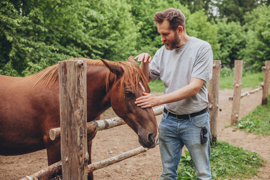 Bearded man petting brown polessian horse in rural horse breeding farm. Human-animal bond, animal welfare, rural lifestyle, eco-tourism, care, trust, horse sanctuary, breeding farm.
