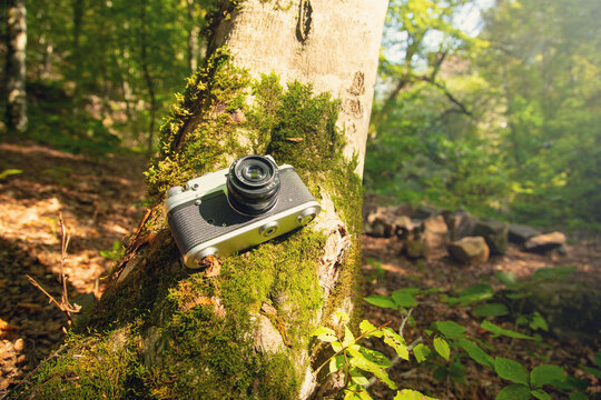 Old retro camera in the forest background.