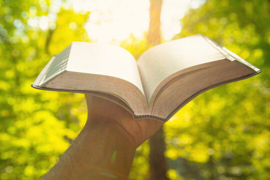 Male hand showing book in the forest.