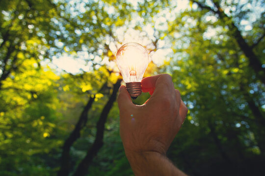 Light bulb in nature background. Idea