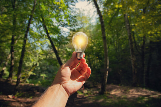 Light bulb in nature background. Idea