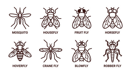 Fototapeta premium Insect Variety Pack: A collection of eight distinct insect illustrations, including mosquito, housefly, fruit fly, horsefly, hoverfly, crane fly, blowfly, and robber fly.