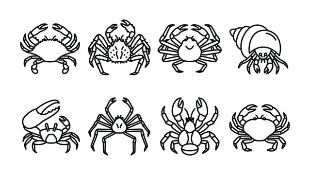 Collection of Crab Icons: A set of eight line art icons depicting various species of crabs and one hermit crab, showcasing different shapes and sizes of these marine crustaceans.