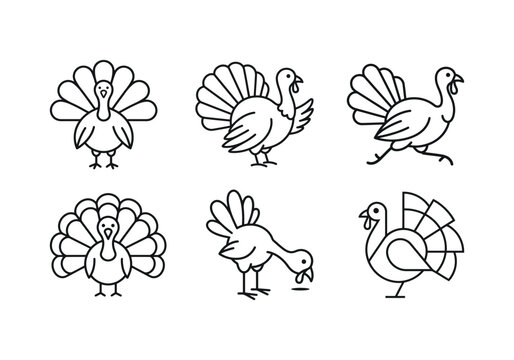 Minimalist turkey line art icons, set of 6 Thanksgiving bird vector illustrations, modern outline turkey characters for holiday branding and seasonal decor