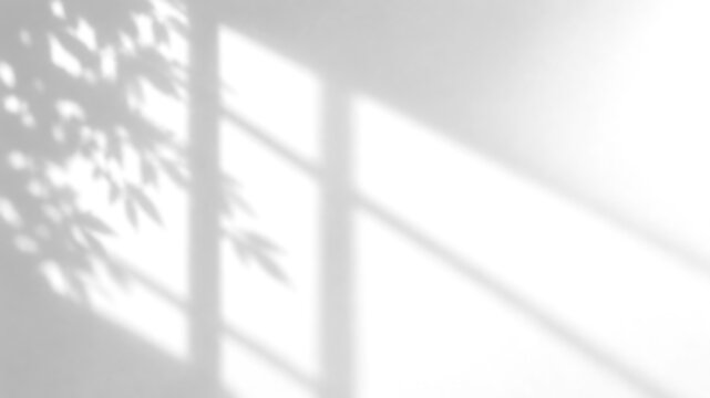 Shadow overlay background photo with window light and plant leaf shadows on white wall