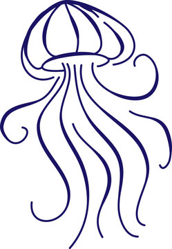 Sea Jelly