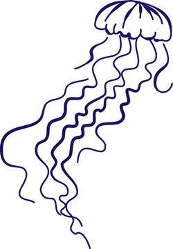 Jellyfish with Curly Tentacles