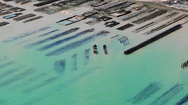 Drone view over oyster farming area in Cancale, Brittany, documenting shellfish aquaculture on a tidal coastal landscape