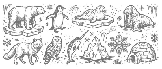 Obraz premium Arctic Wildlife Vector Set Polar Bear Penguin Seal Icons