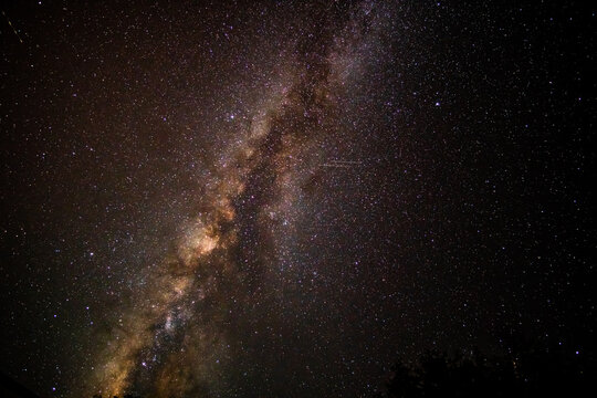 Milky Way band stretching across star filled dark night sky with faint meteor streaks over silhouetted treetops in wide celestial landscape
