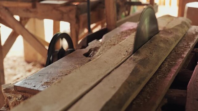 Close-up footage of a circular saw blade cutting through a wooden log at a traditional sawmill, with sawdust scattering during the timber processing.	