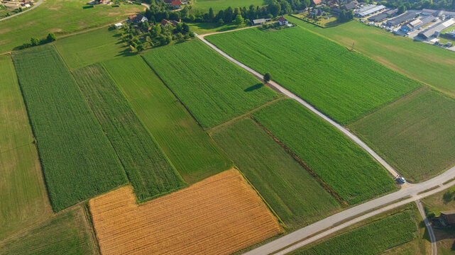 Drone view of sprawling agricultural fields along Drava river in summer. Patchwork pattern of green crops, cultivated farmland, and natural riverbanks under bright daylight.