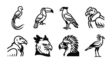 Fototapeta premium Bird Silhouettes Collection: A collection of stylized black and white illustrations showcasing a variety of bird species, from songbirds to birds of prey, presented in a clear graphic style.