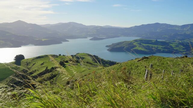 Overlooking the green hills and the coastal town, Akaroa, New Zealand