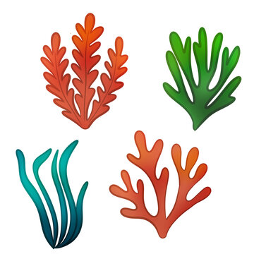 Colorful underwater sea plants and coral reef vector illustration set isolated on transparent background