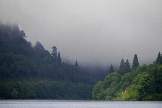 Dense Fog Settling Over a Forested Valley in Georgia