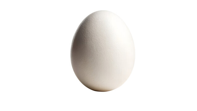 Single Fresh White Chicken Egg Standing Upright Isolated on White Background