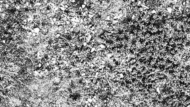 Rough ground texture pattern