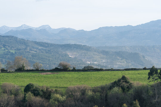 Green Meadow With Layered Blue Mountains in Soft Haze