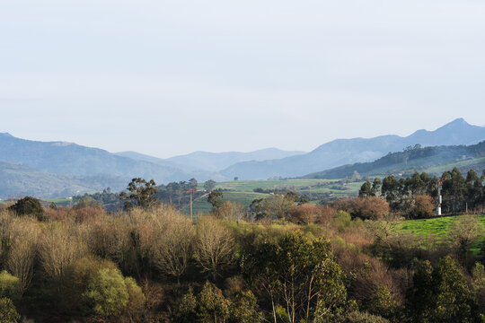 Layered Mountain Valley With Woodland and Green Countryside
