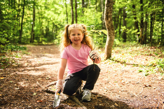 Cute little girl planting tree in forest