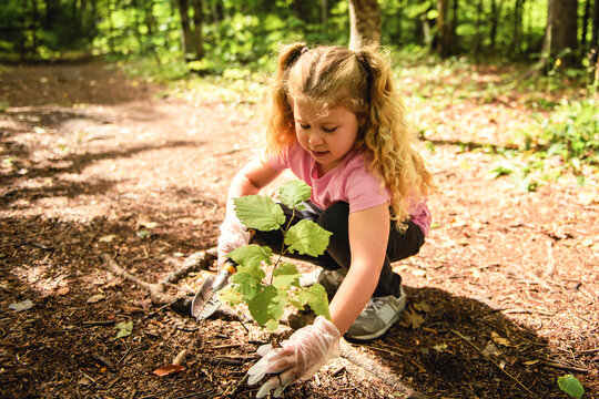 Cute little girl planting tree in forest