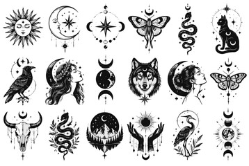 Obraz premium Esoteric Vector Illustrations Sun Moon Stars Animals and Mystical Symbols