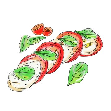 Fresh Caprese salad with sliced tomatoes mozzarella cheese basil leaves and black pepper illustration isolated on white background