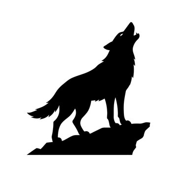 Howling wolf silhouette standing on rock formation depicts wild predator animal in wilderness setting suitable for wildlife conservation and outdoor adventure themes.