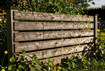Obraz premium Privacy and garden landscaping, weathered wooden fence panels in a backyard with lush green plants and yellow flowers during a sunny summer afternoon