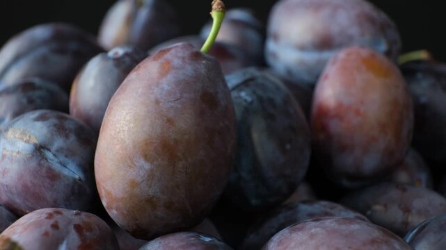 Slow rotation of ripe purple plums macro close up video