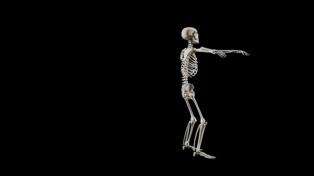 Funny dancing skeleton character animation with alpha channel transparent background