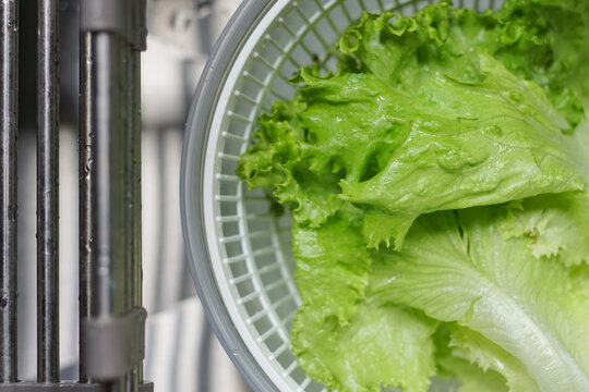 Fresh green lettuce leaves inside a plastic salad spinner bowl, viewed from a high angle near a metal kitchen sink drying rack. Clean and healthy food preparation concept.