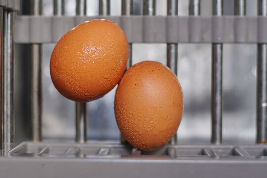 A close-up shot of two fresh brown chicken eggs covered with small water droplets, resting on a gray metal rack or holder. The condensation on the eggshells creates a textured, fresh look.