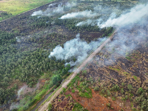 Aerial view of a forest fire with smoke rising from trees and blackened burnt ground separated by a dirt road in Banjarbaru, South Kalimantan, Indonesia.