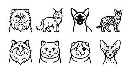 Fototapeta premium Feline Variety Collection: A set of eight distinct cat illustrations showcasing different breeds and facial expressions, offering a diverse range of feline personalities and features.