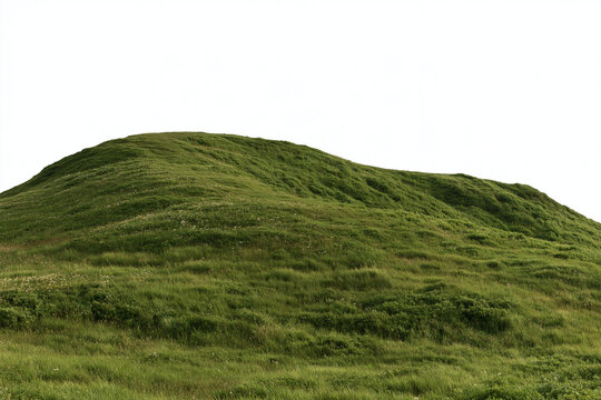 Rolling green grassy hill isolated against a clean white sky with green meadow