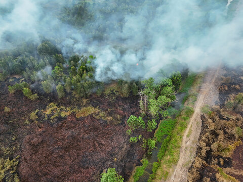 Aerial view of a forest fire burning in a wooded area with thick smoke rising, scorched earth, and a dirt path nearby in Banjarbaru, South Kalimantan, Indonesia.