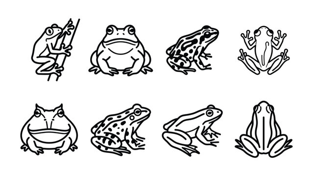 Frog Collection: A set of eight black and white line drawings, each illustrating a distinct frog species in various poses, showcasing their unique anatomy and characteristics.